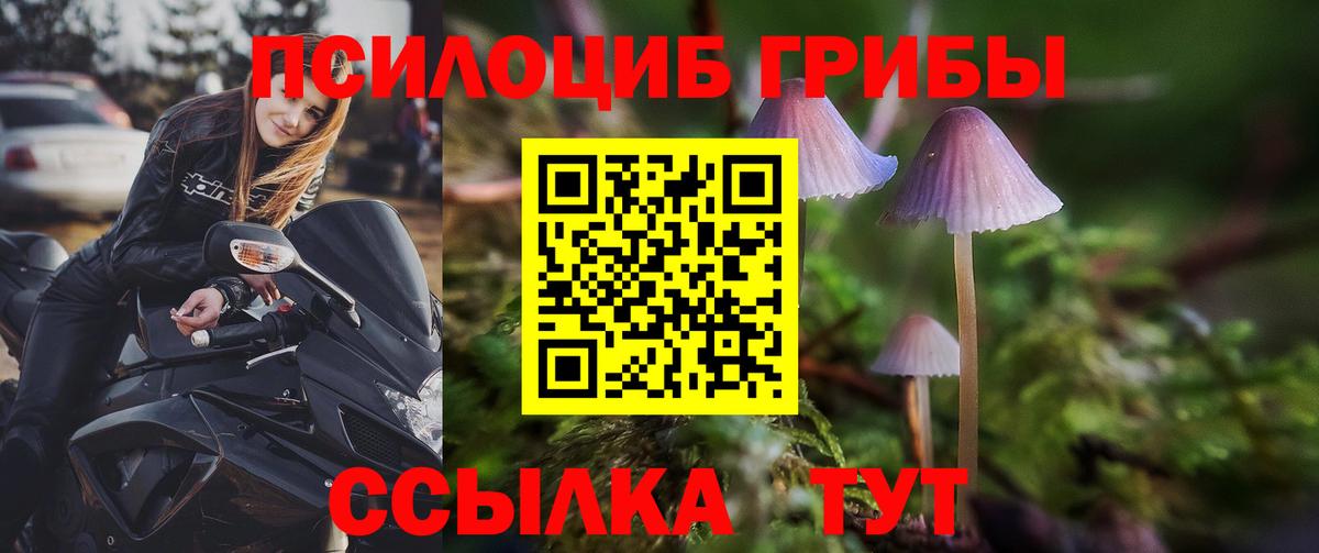 Псилоцибиновые грибы Psilocybine cubensis Сланцы
