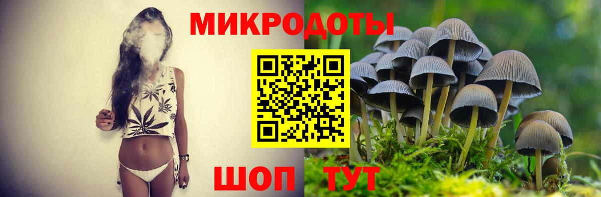 Сланцы  Галлюциногенные грибы Cubensis  Вход с VPN 